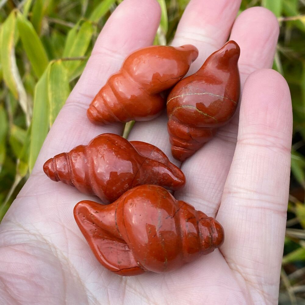 Red Jasper Sea Shell