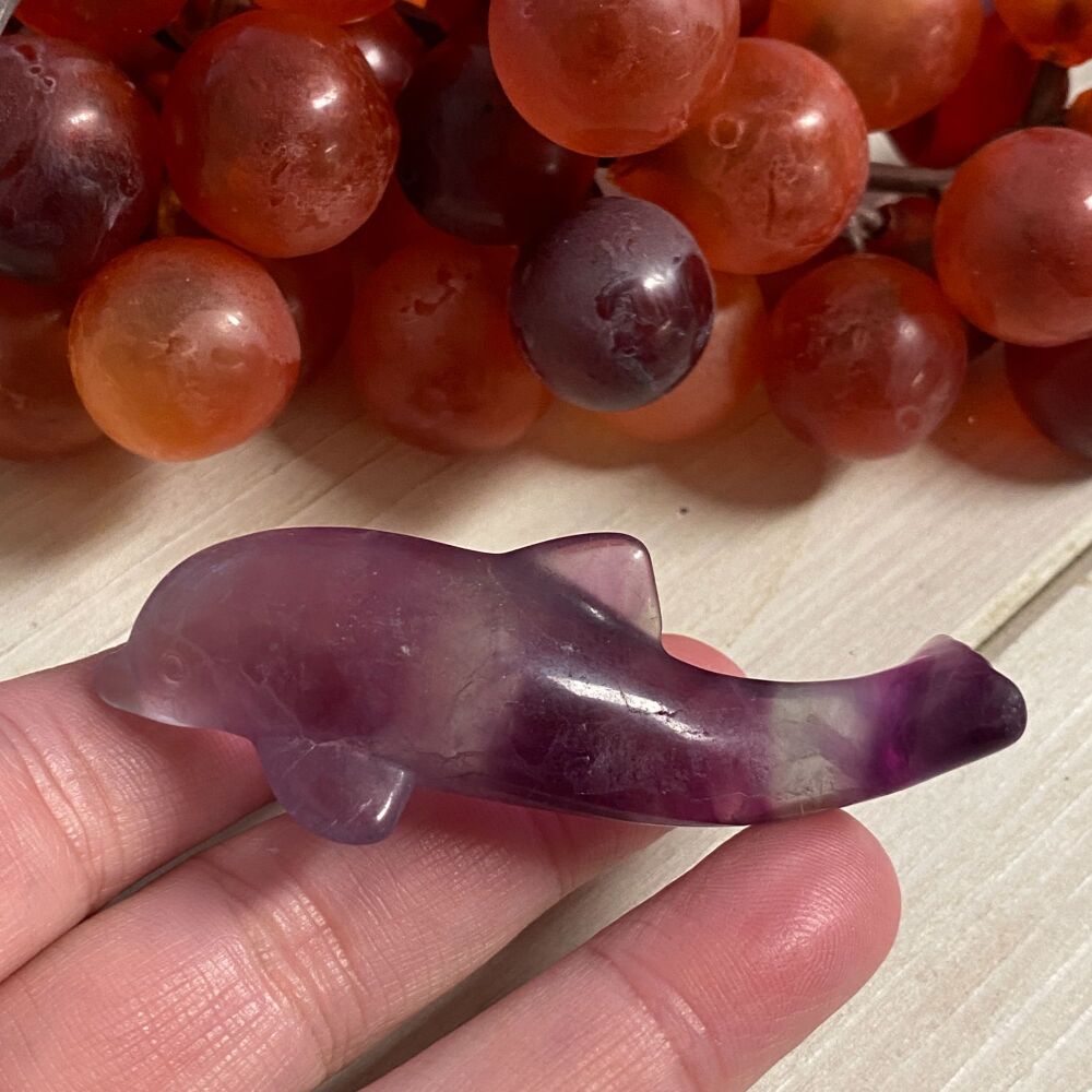 Fluorite Dolphin