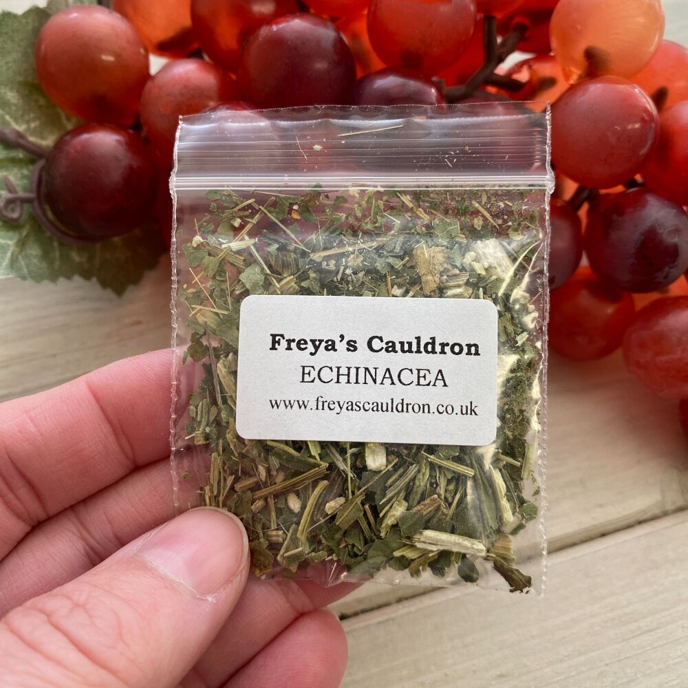 ECHINACEA ~ Small Bag