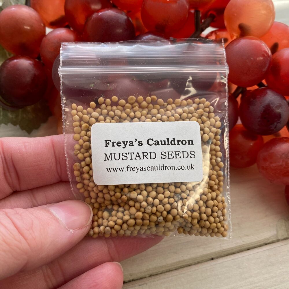 MUSTARD SEEDS ~ Small Bag