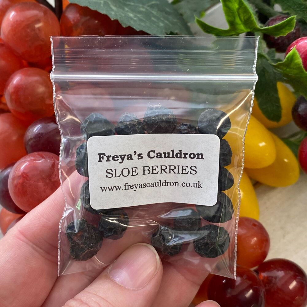 SLOE BERRIES ~ Small Bag