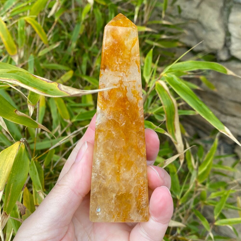 Golden Healer large point