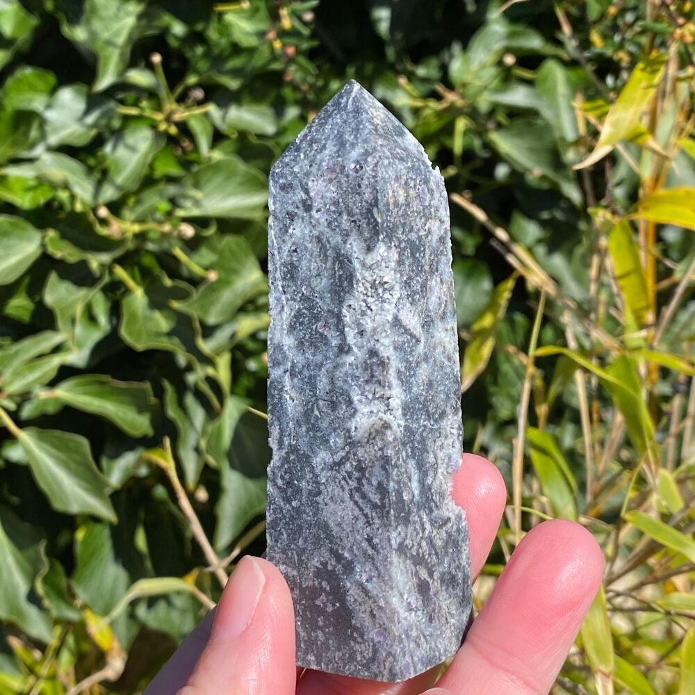 Larvikite Point ~ #1