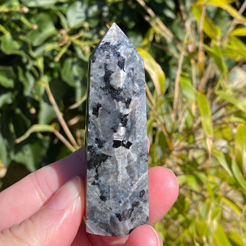 Larvikite Point ~ #3