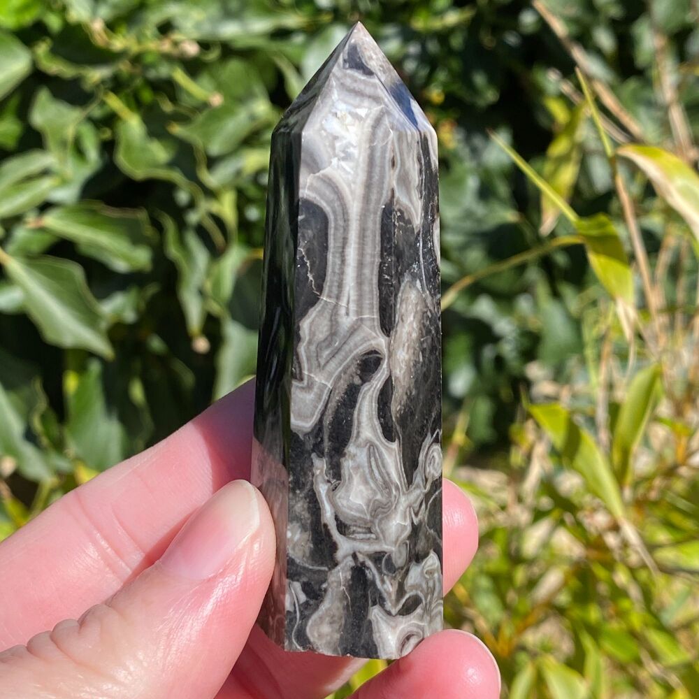 Picasso Jasper Point ~#1