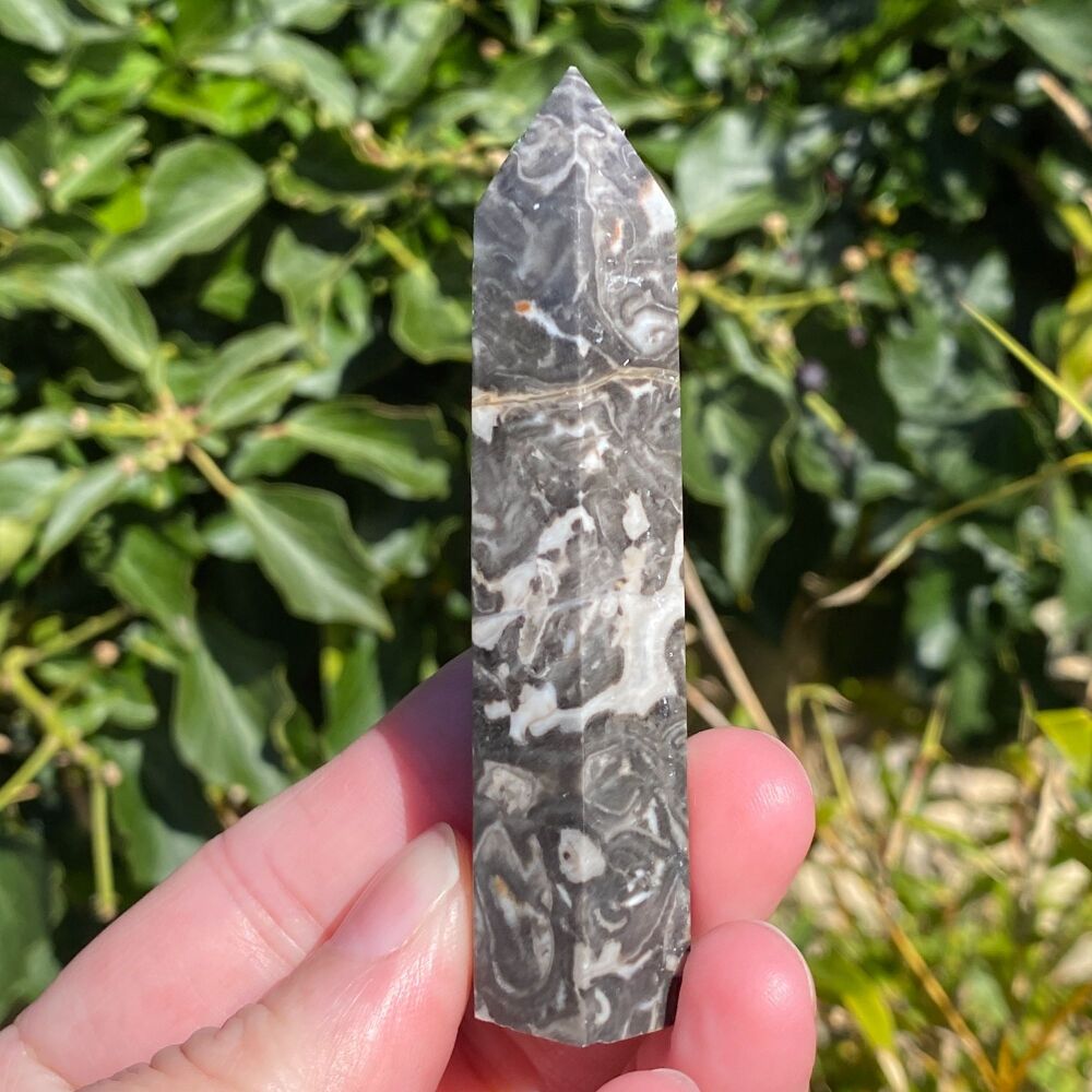 Picasso Jasper Point ~#2