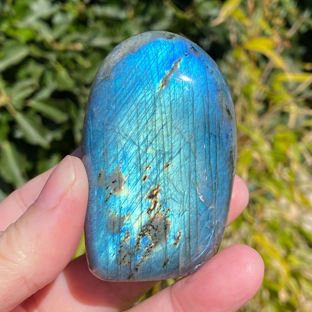Labradorite Freeform ~ #1