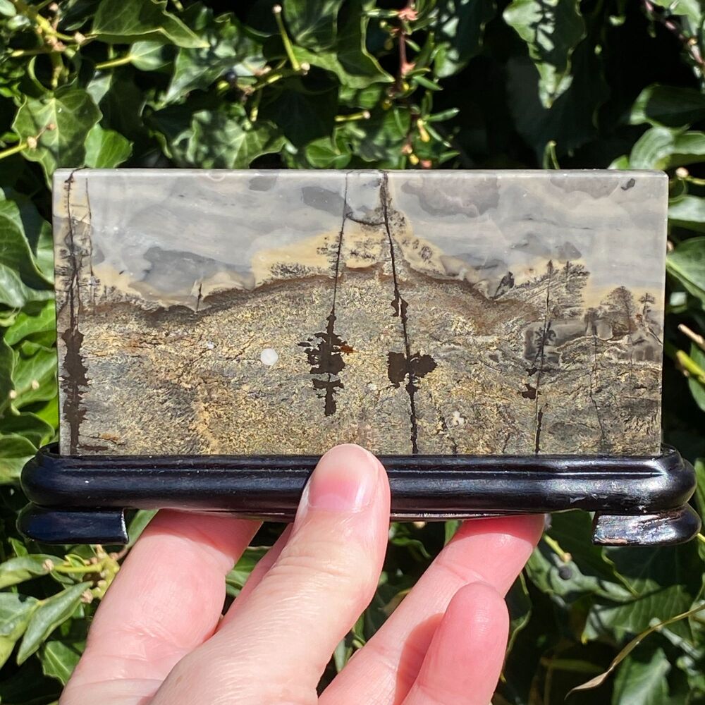 Landscape Jasper Slice with stand