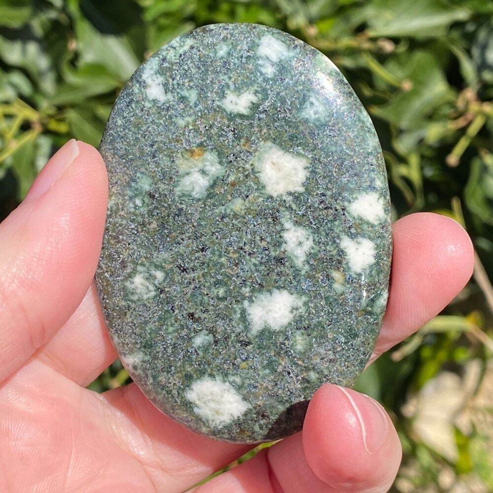 Palm Stone ~ Preseli Bluestone (Stonehenge Stone)