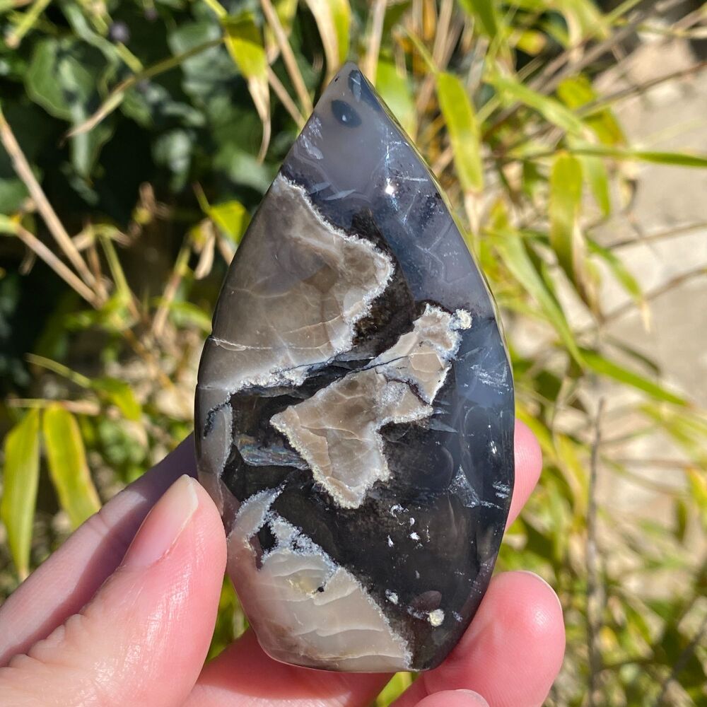 Volcano Agate Flame ~ #1