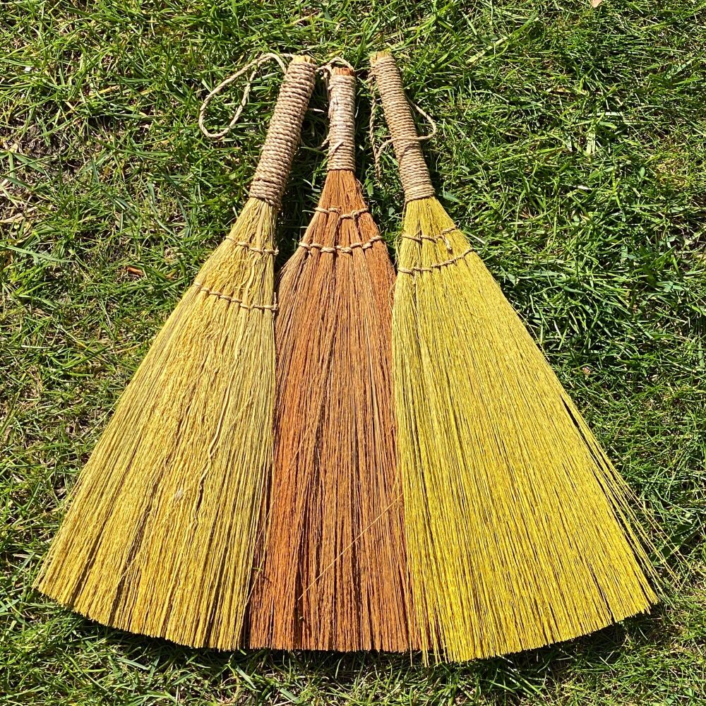 A Stunning Pampas Broom ~ Light Yellow