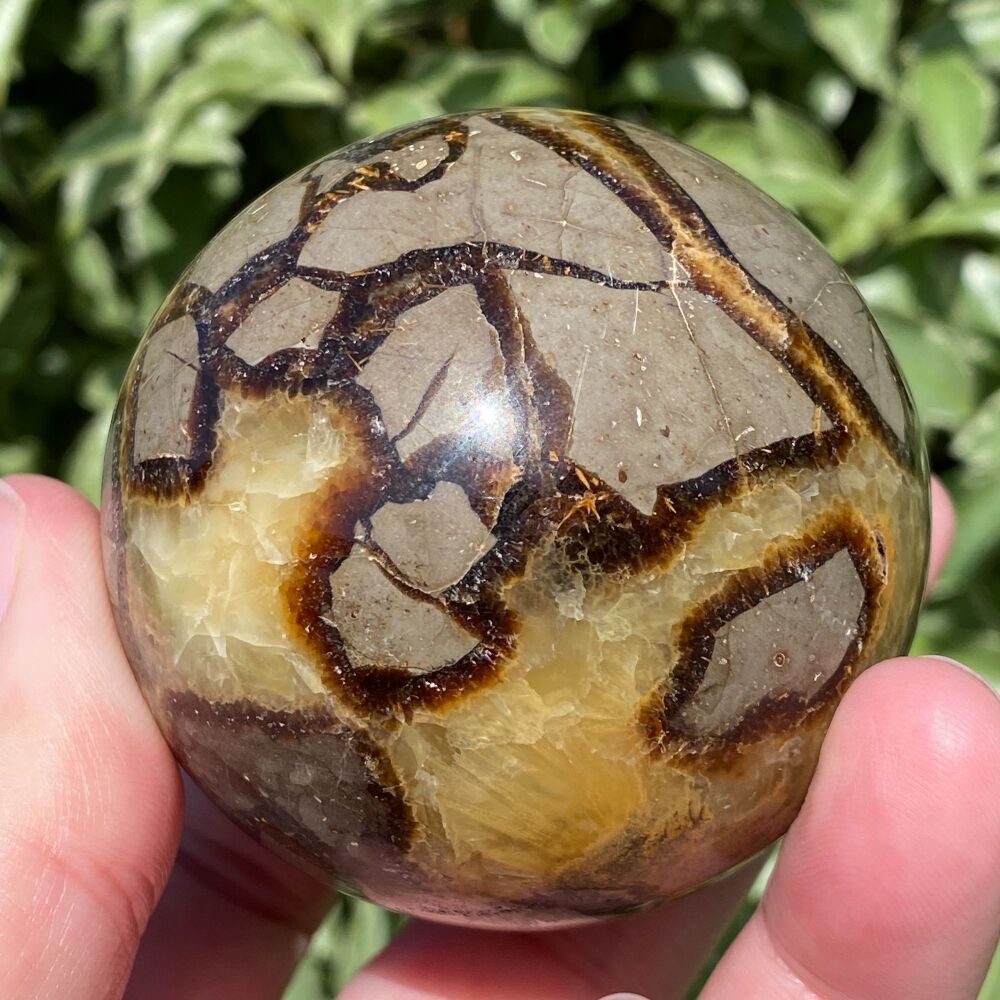 Septarian Sphere with stand
