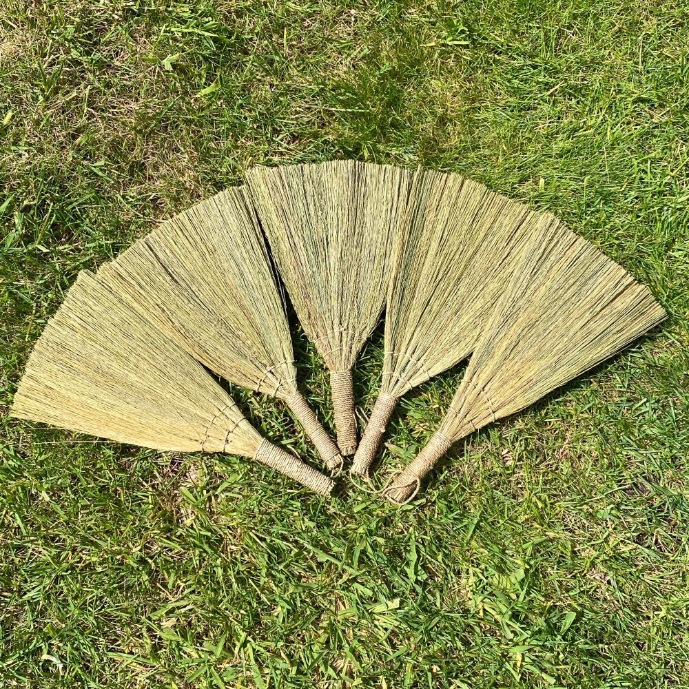 A Stunning Pampas Broom