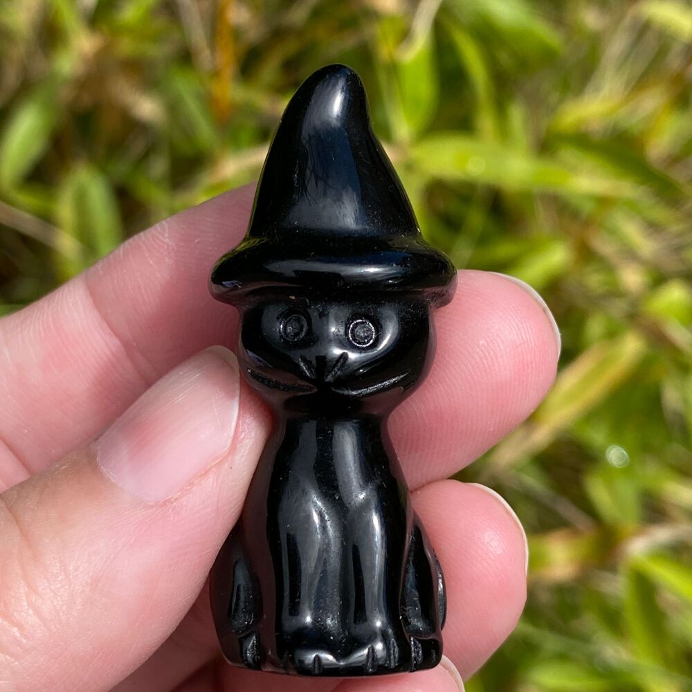 Cat in a Witches Hat ~ Black Obsidian A