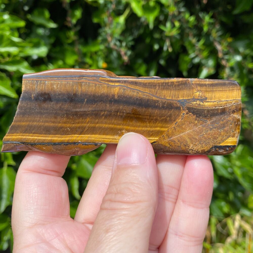 Tiger Eye Slice ~ A