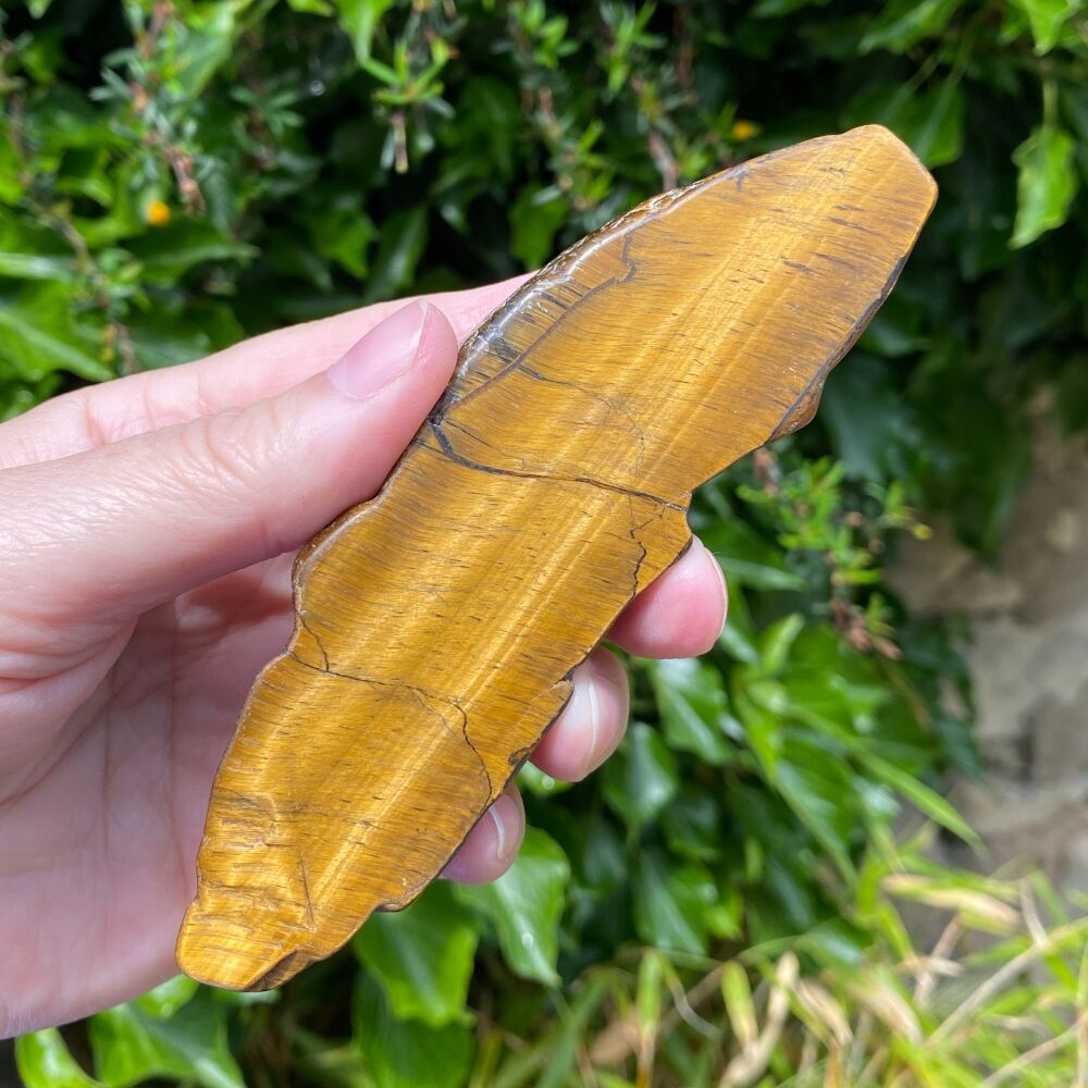 Tiger Eye Slice ~ B