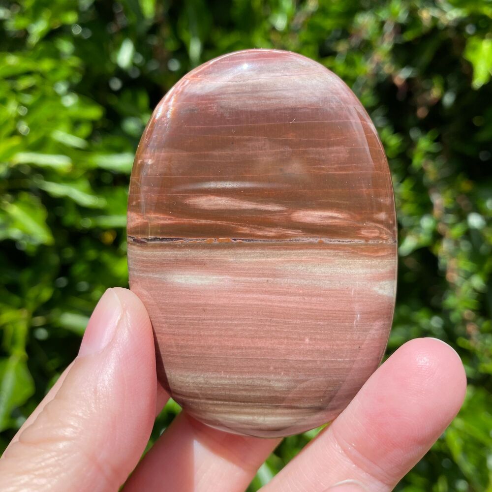 Palm Stone ~ Petrified Wood ~B