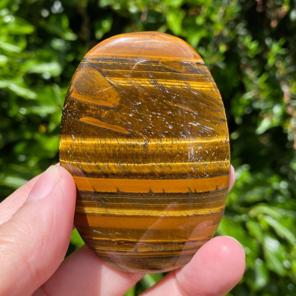 Palm Stone ~ Tiger Eye