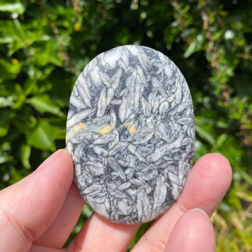 Palm Stone ~ Pinolith