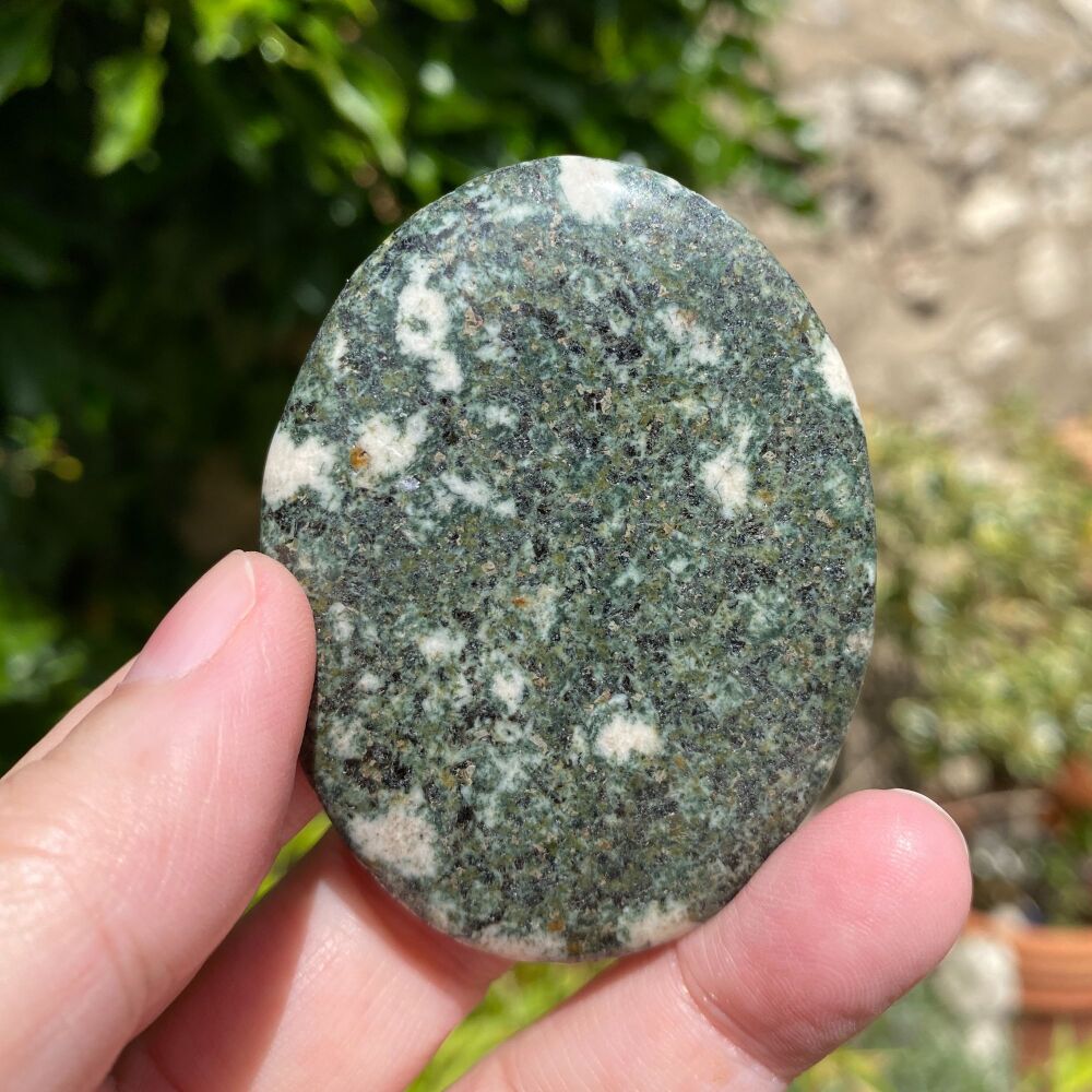 Palm Stone ~ Preseli Bluestone (Stonehenge Stone)