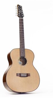 12 string acoustic guitar