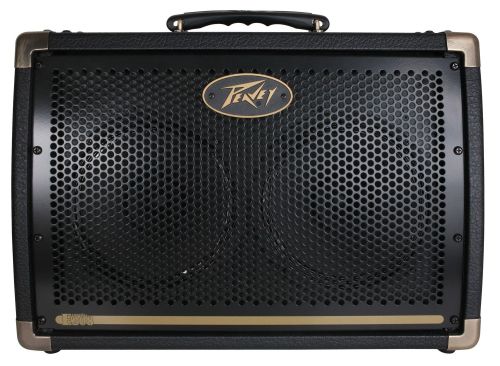 Peavey Ecoustic E208 Acoustic Guitar Amp