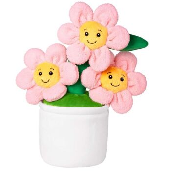 Personalised flower pot tummi teddy