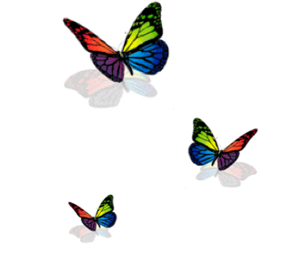 butterflies copy