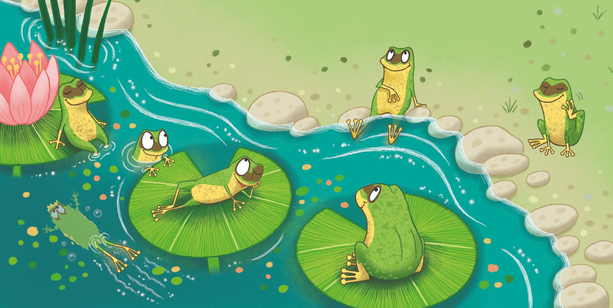 frogs illustration