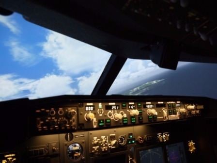 60 Minute Flight Simulator Experience