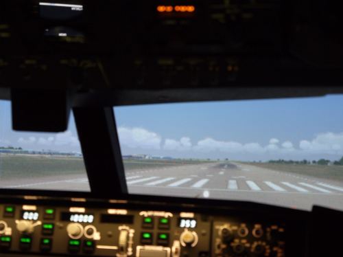 30 Minute Flight Simulator Experience