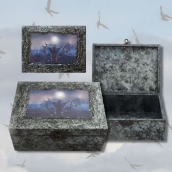 Crow Magick Memory Box