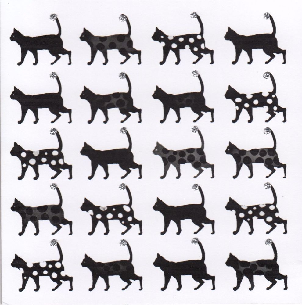 Black Cats, white - 221W