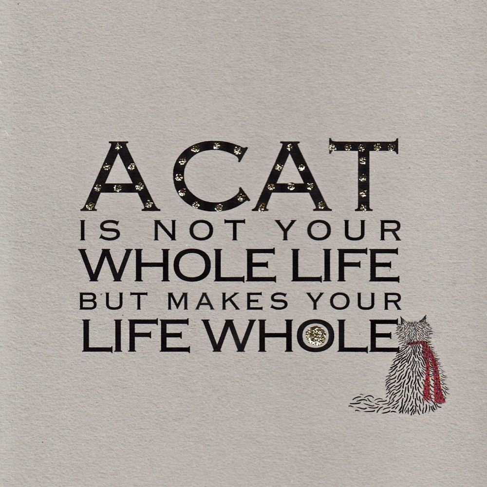 Witty Words | A Cat is... clay