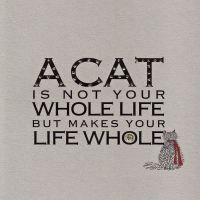 A Cat is... clay board - 177C