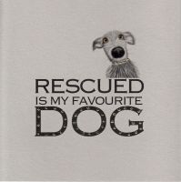 Rescued is my favourite dog, clay board - 13C