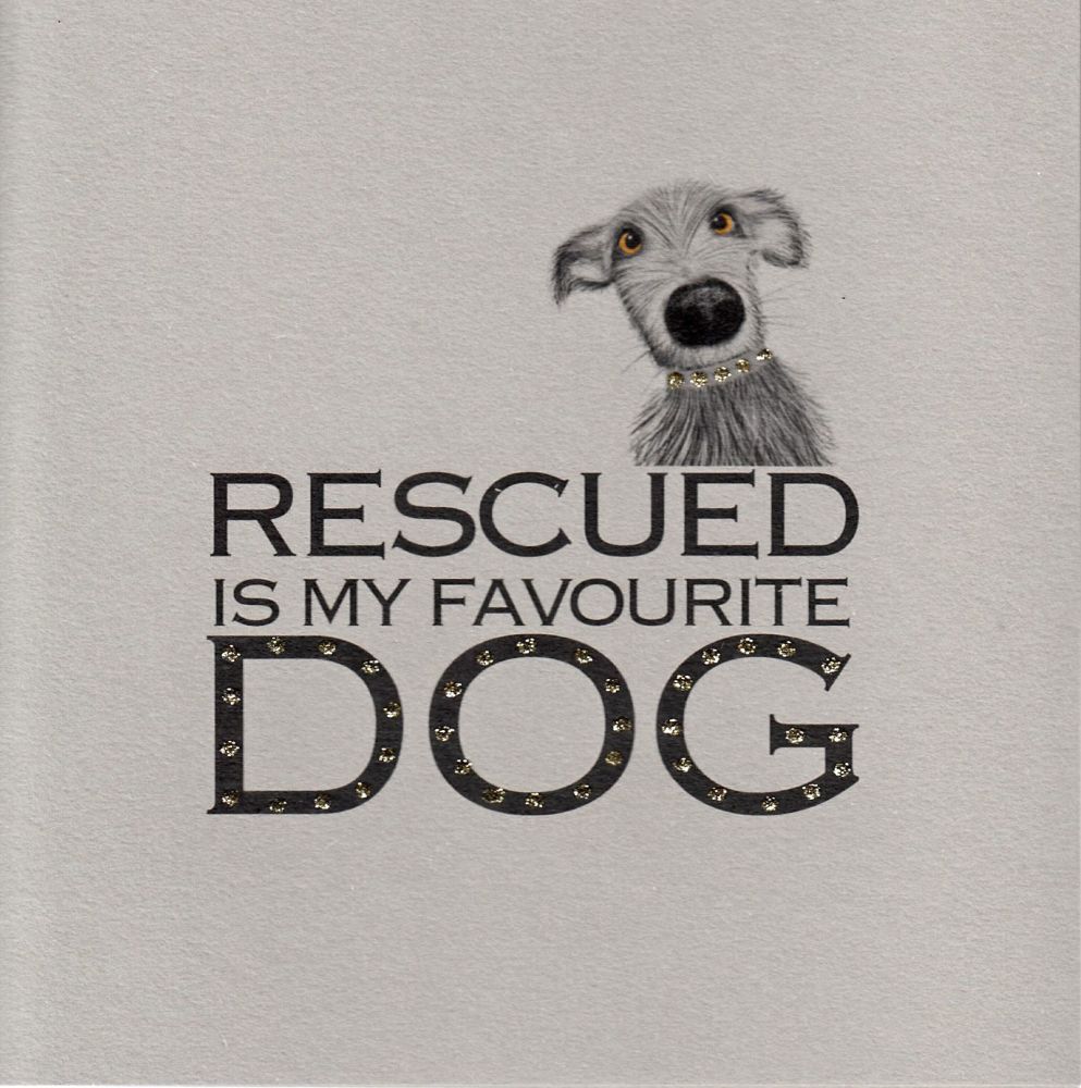 Rescued is my favourite dog, clay board - 13C