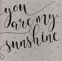 You are my Sunshine, clay  - 712CXL