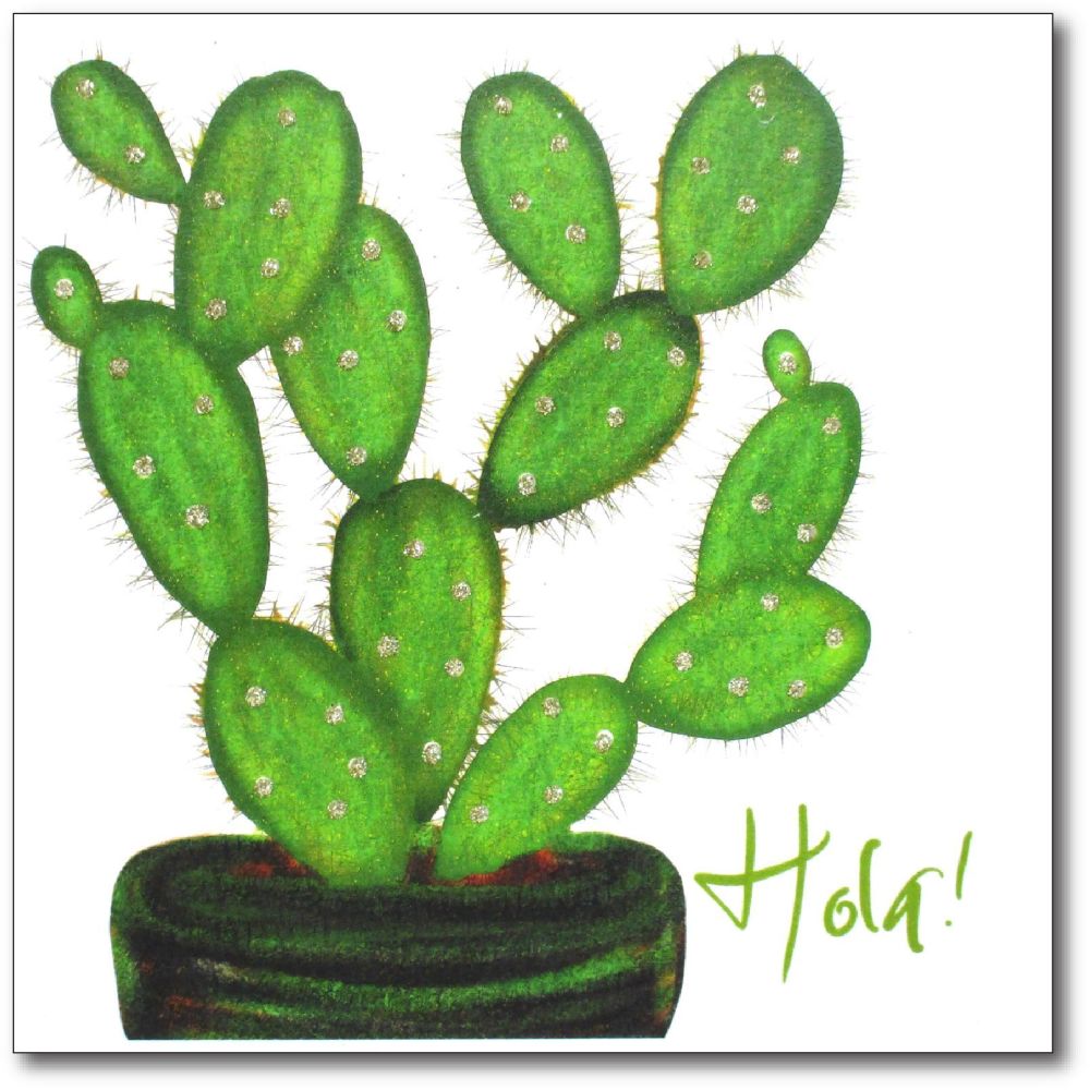 Flowers | Cactus, Hola