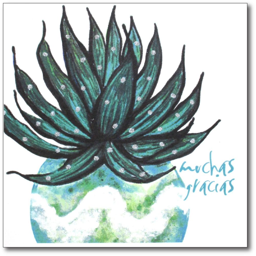 Cactus, Muchas Gracias - 10AG