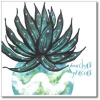 Flowers | Cactus, Muchas Gracias