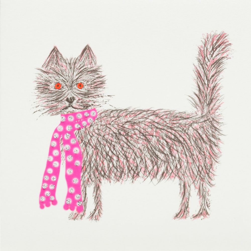 Scruffy cat pink