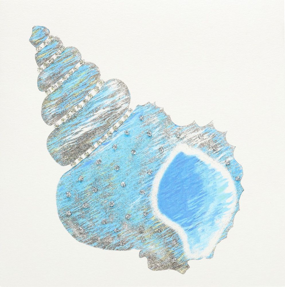 Seashell ( Blue )