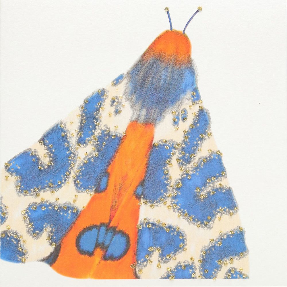 Moth ( Blue )