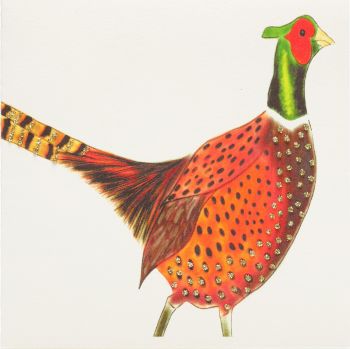 Pheasant -67G