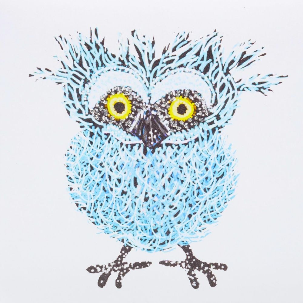 Quirky Owl Teal