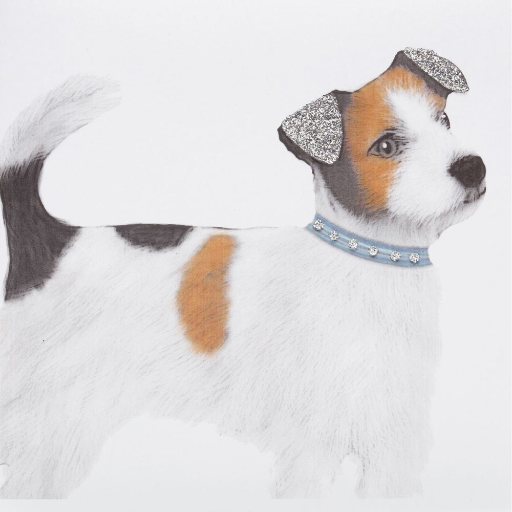 Jack Russell - 336AW