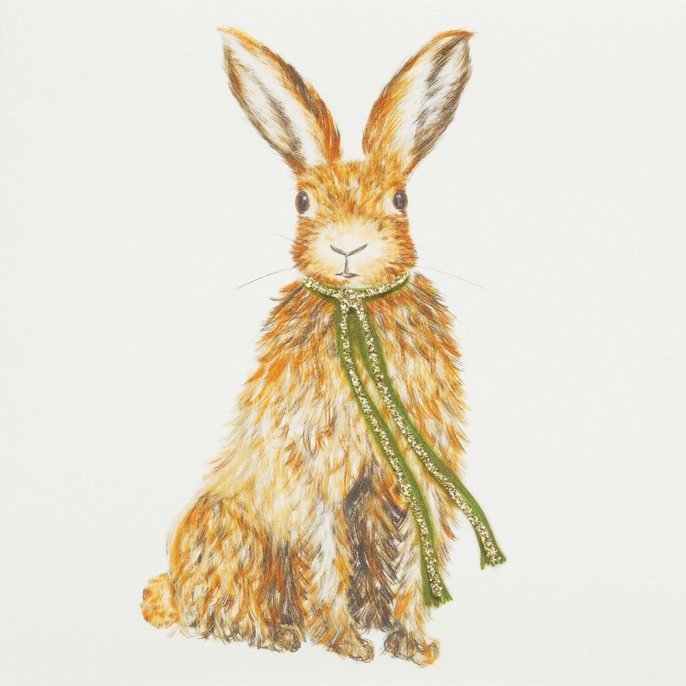 Hare with scarf