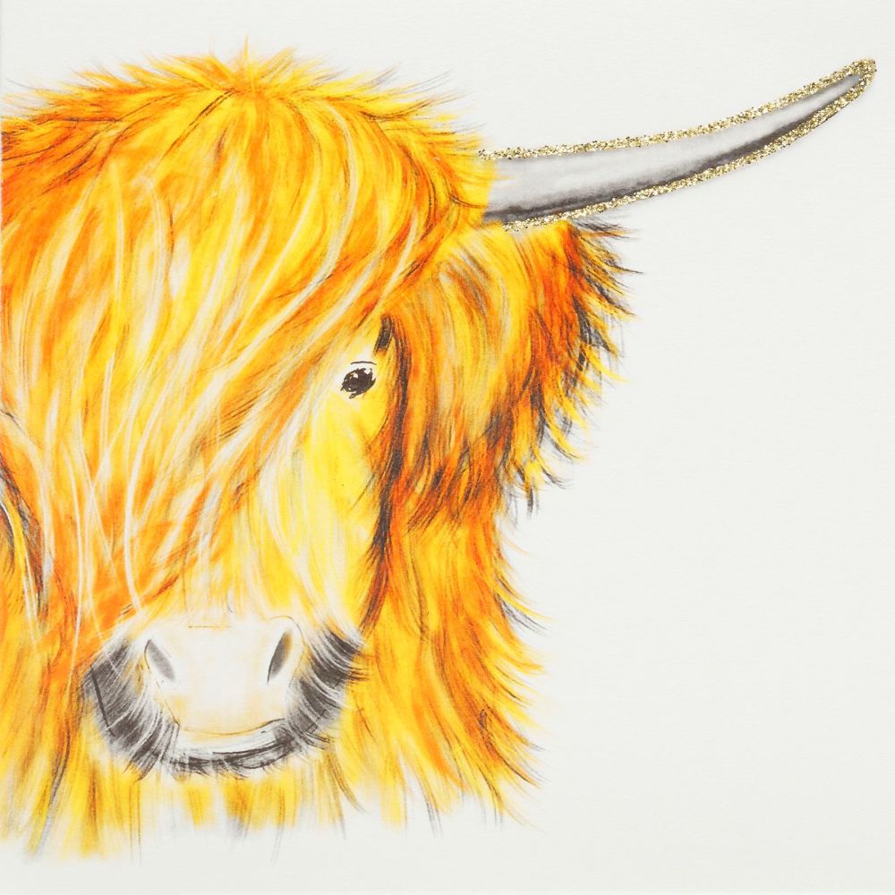 Golden Highland Cow