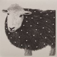 Sheep - 330AC